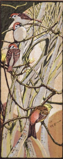 Tree Sparrows